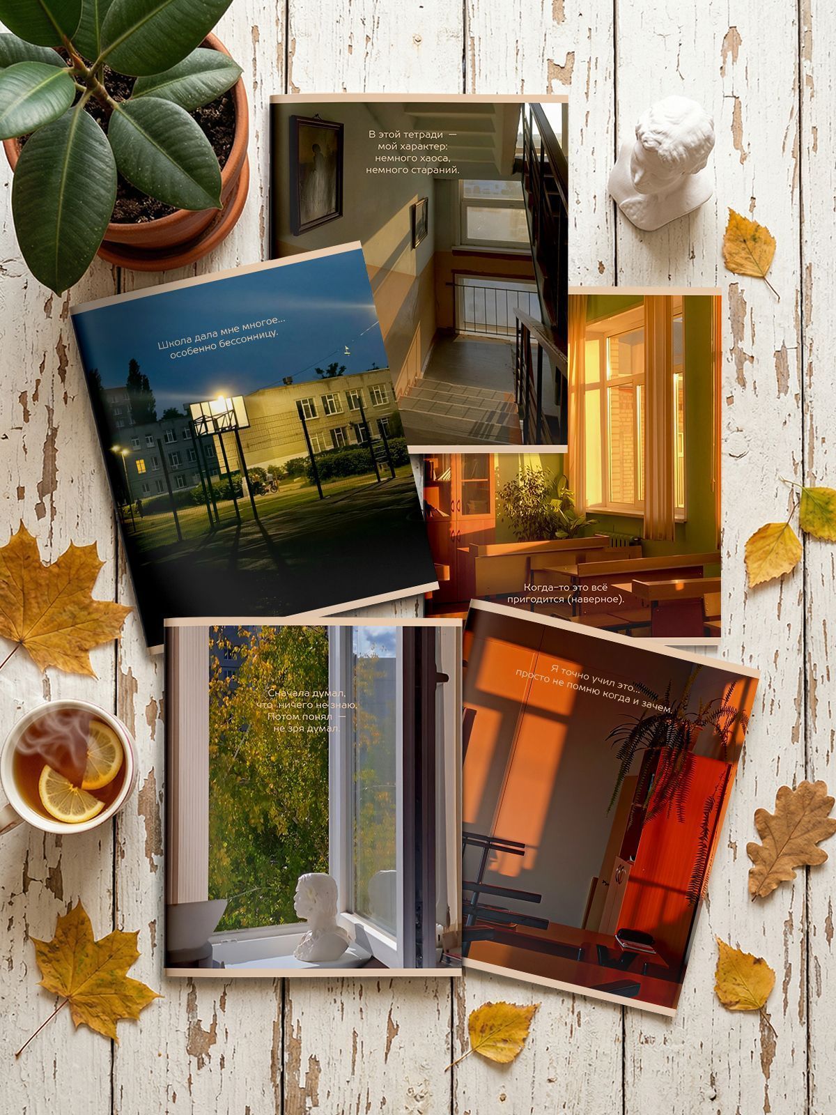 Тетрадь 48л. кл. "юность" (schoolformat) б/б,уф.лак,асс-т