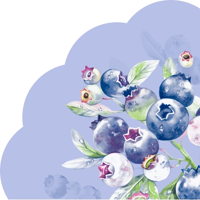 Салфетки бум. d=320мм 12 шт. 3-сл. "черника.голубой фон"