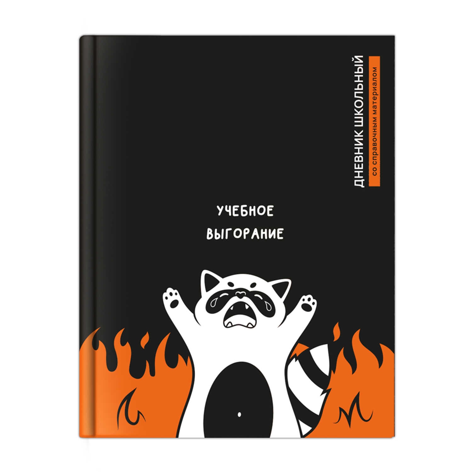 Дневник универс. тв.обл. "енот выгорел" (феникс+) мат.лам.