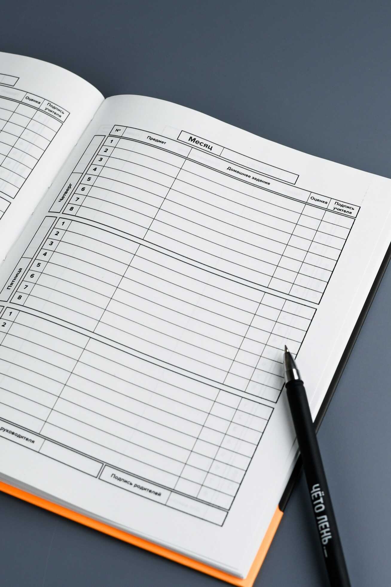 Дневник универс. тв.обл. "енот выгорел" (феникс+) мат.лам.