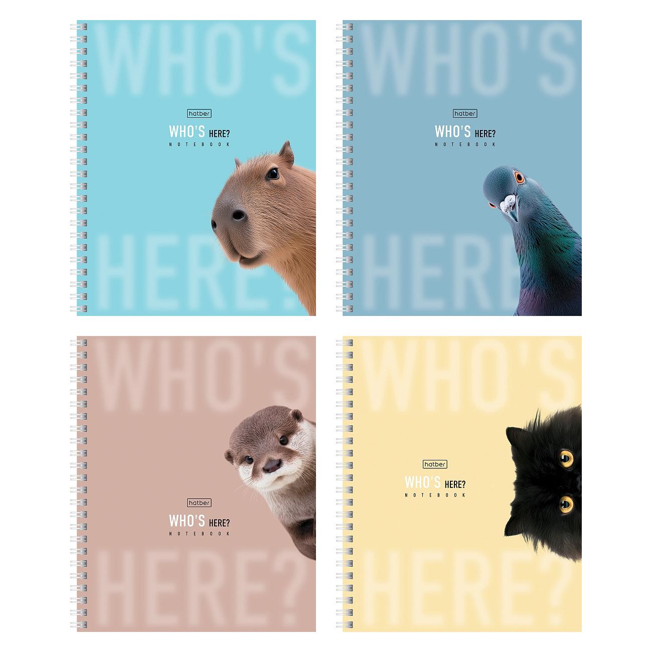 Тетрадь на гребне 48 л. кл. "кто здесь?" (hatber) б/б,лам.,,асс-т