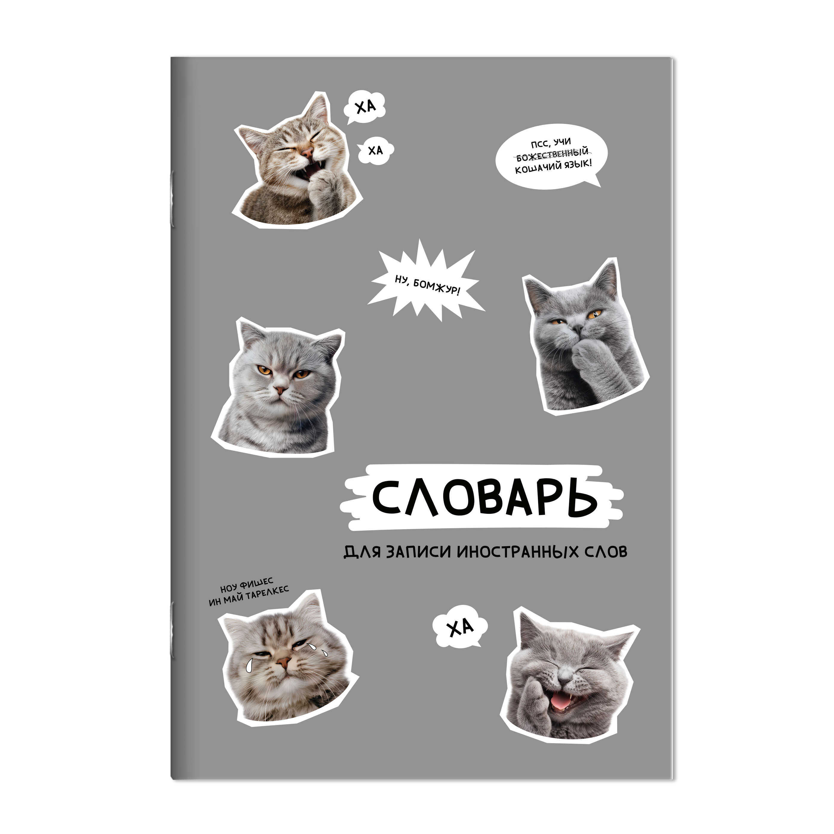тетрадь 24л. а5 д/записи иностр.сл. "стикеры с котами" (феникс+) Тетрадь 24л. а5 д/записи иностр.сл. "стикеры с котами" (феникс+)