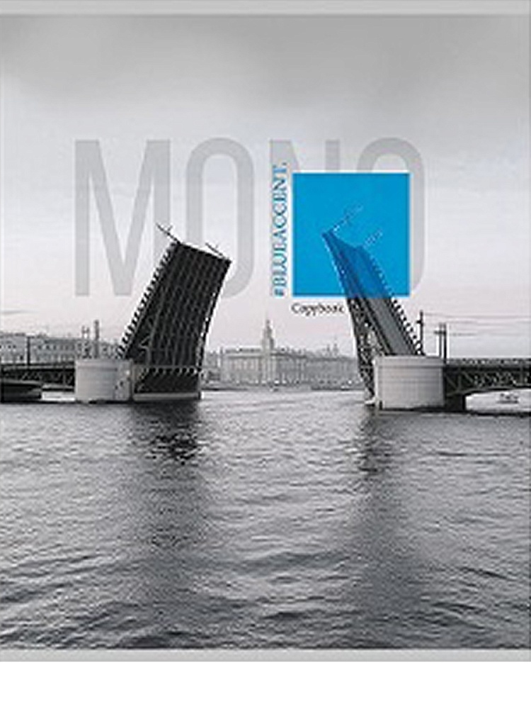 Тетрадь 48л. кл. "монохром" (проф-пресс) б/б,лён,асс-т