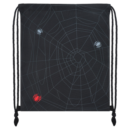 сумка для обуви кокос "spider" 36х44см Сумка для обуви кокос "spider" 36х44см