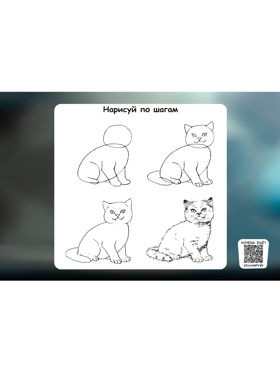 Альбом д/рис. а4 24л.склейка "котенок-2" (проф-пресс)