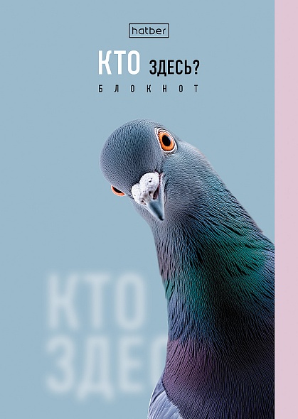 блокнот а6 скрепка 32л. кл. "кто здесь?" (hatber) гл.лам.,асс-т Блокнот а6 скрепка 32л. кл. "кто здесь?" (hatber) гл.лам.,асс-т