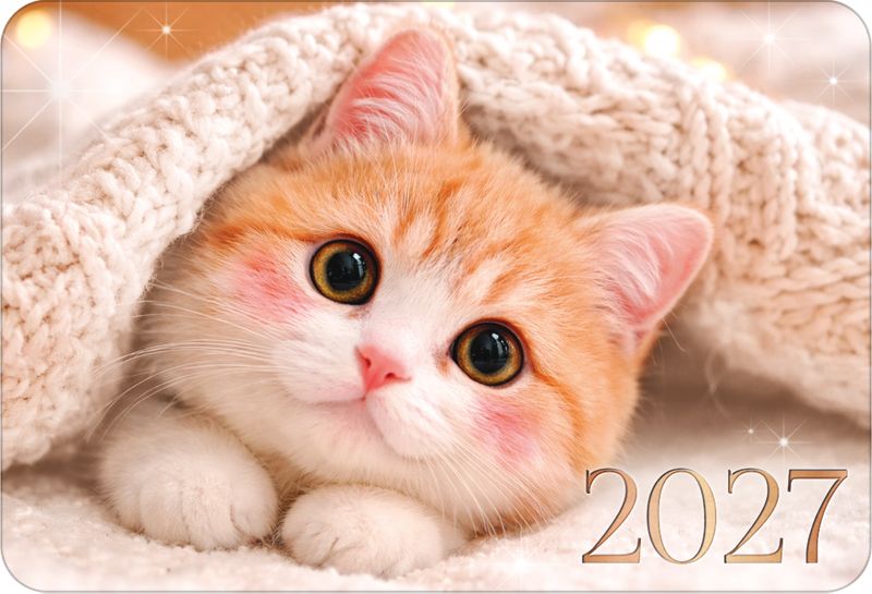 Календарь карманный 2027 "милый котик"