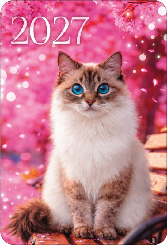 Календарь карманный 2027 "милый котик"