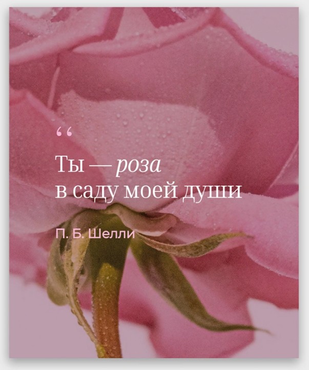 открытка мини 9х11см "поэтика чувств" шелли п.б. Открытка мини 9х11см "поэтика чувств" шелли п.б.