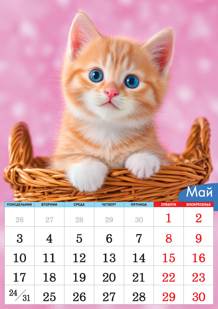 Календарь настенный перекидной 2027 34х48 "милые котята"