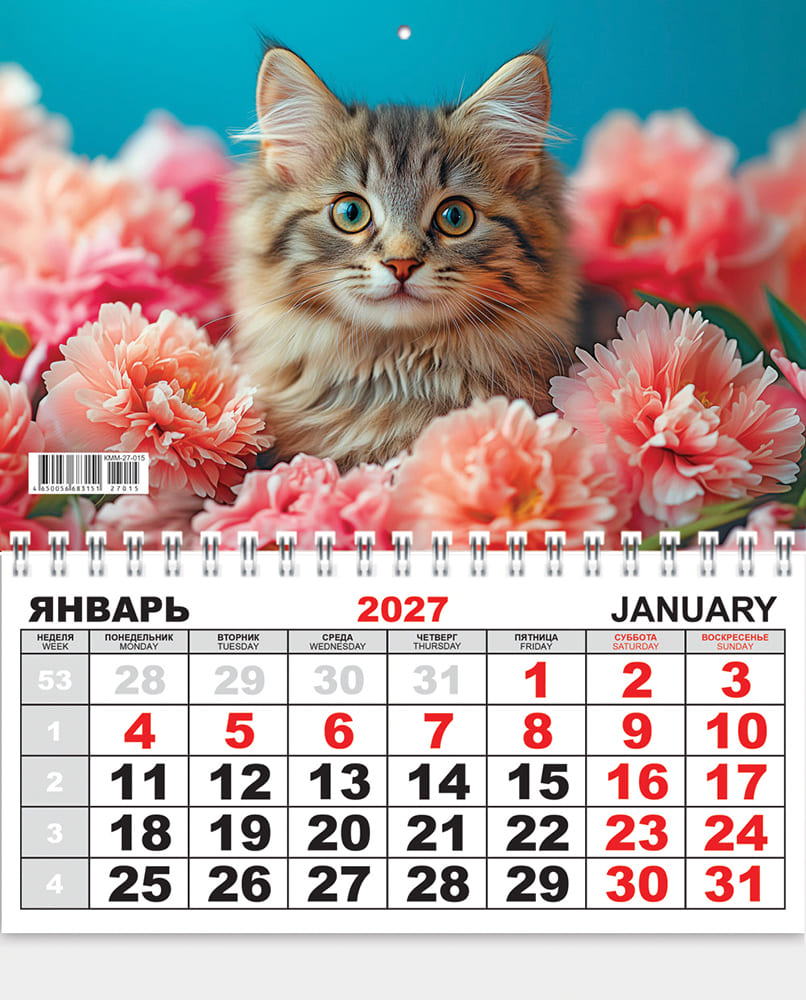 Календарь настенный 1-блочный 2027 "кошки"