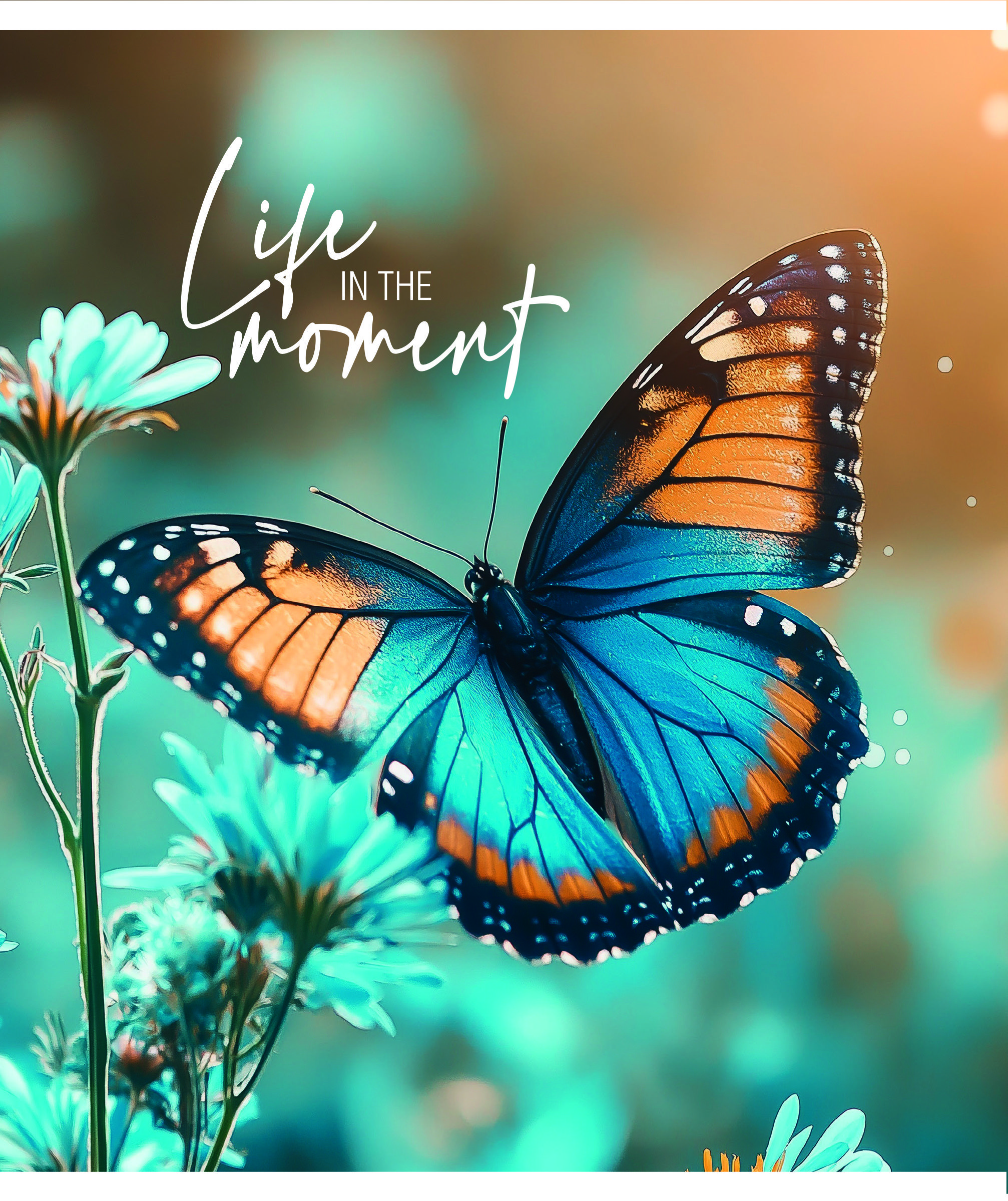 Тетрадь 48л. кл. "бабочки" (creativiki) б/с,асс-т
