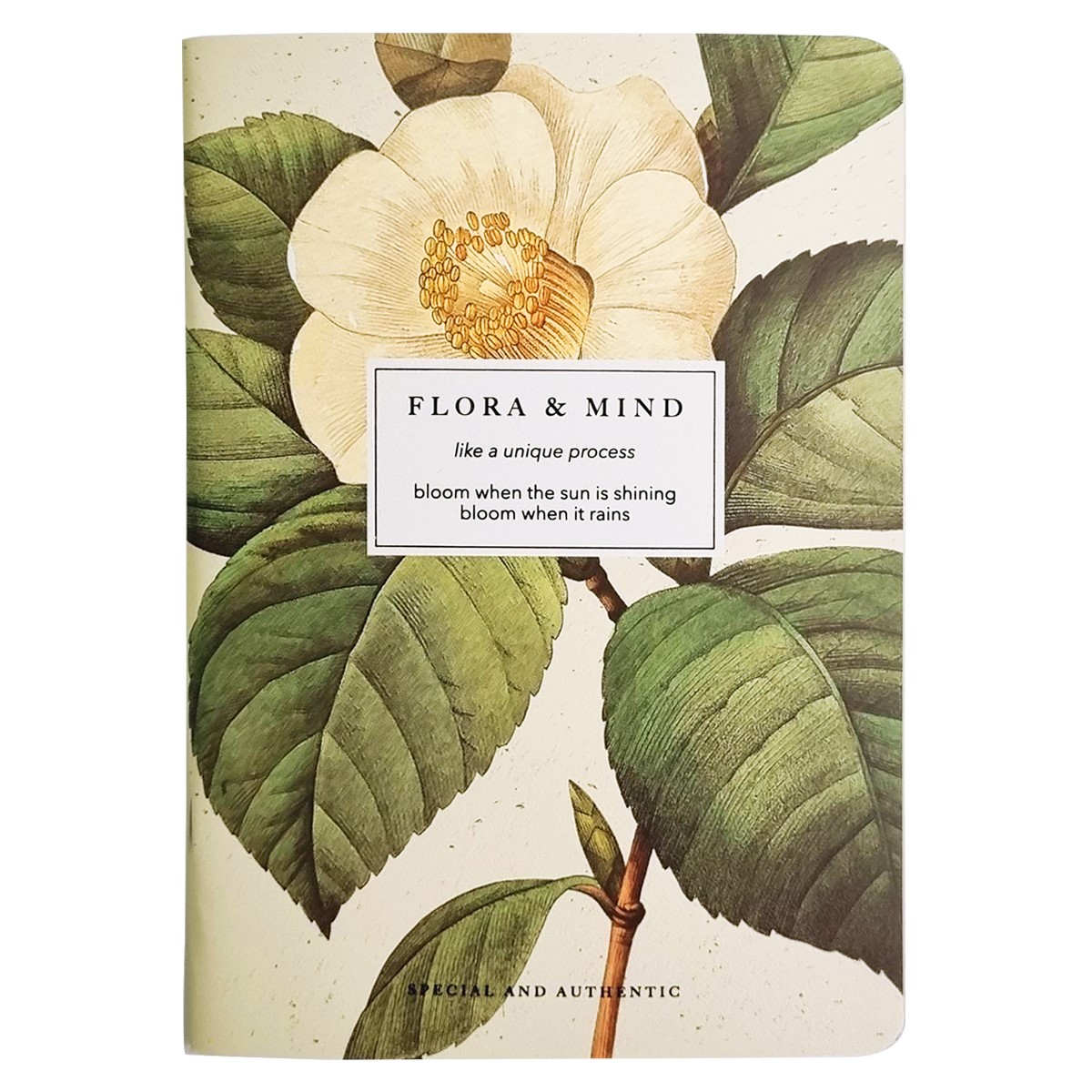 Тетрадь 48л. кл. "flora. камелия" (be smart) б/б,лам.,тиснен.фольгой,дв.обл.