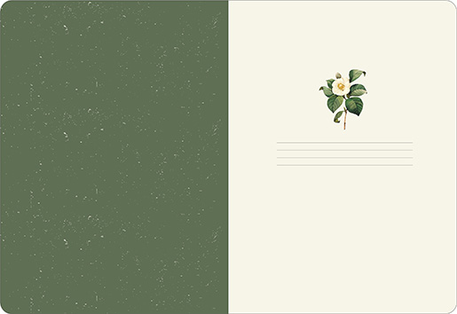 Тетрадь 48л. кл. "flora. камелия" (be smart) б/б,лам.,тиснен.фольгой,дв.обл.