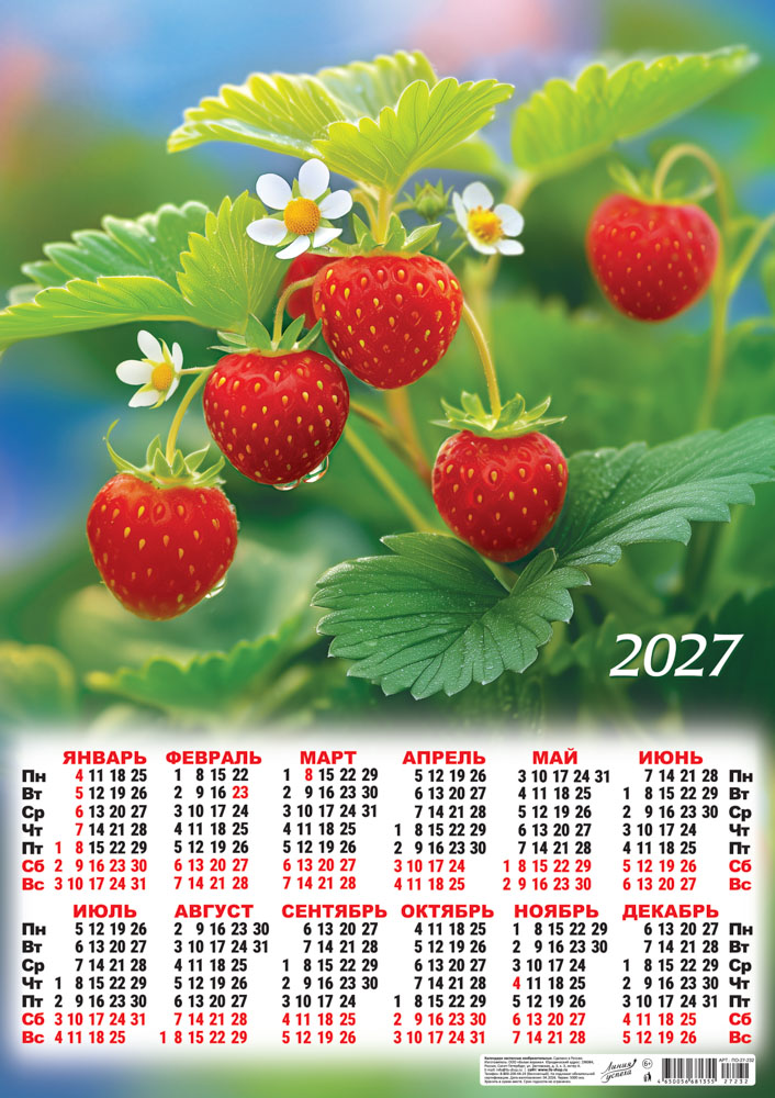Календарь настенный 2027 а2 "ягоды. клубника"