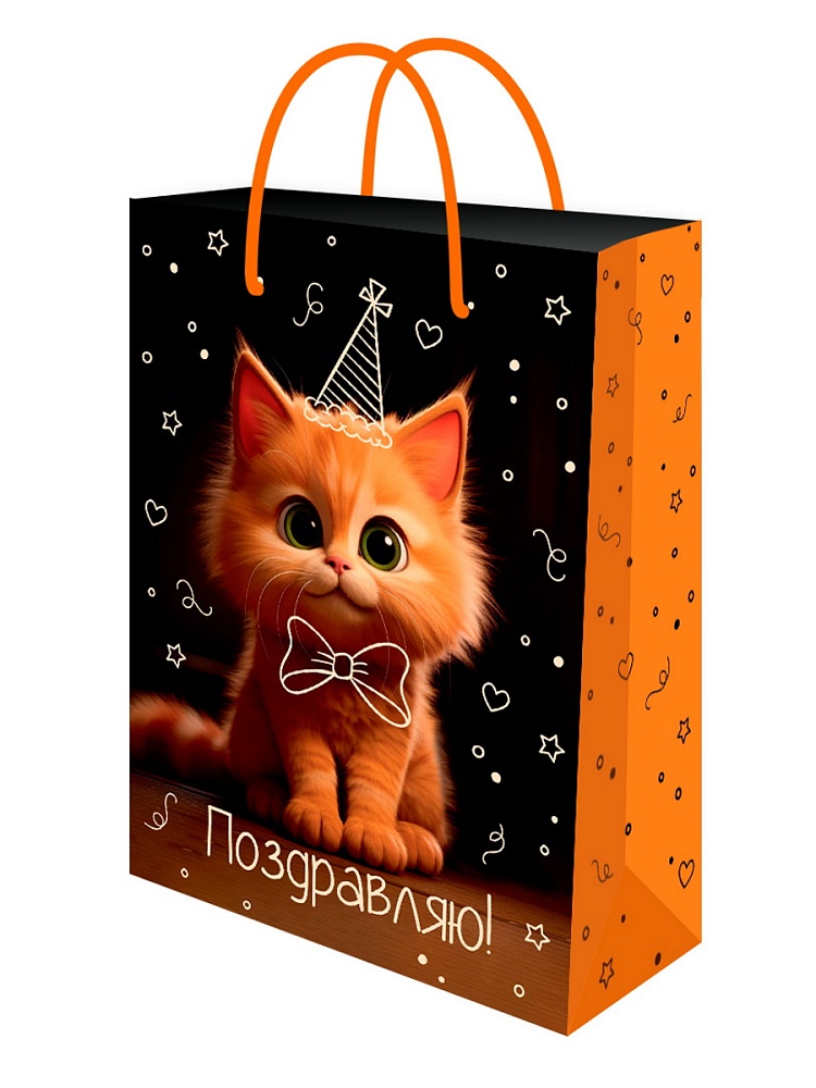 Пакет подарочный "котик в колпаке" (22х31х10см)