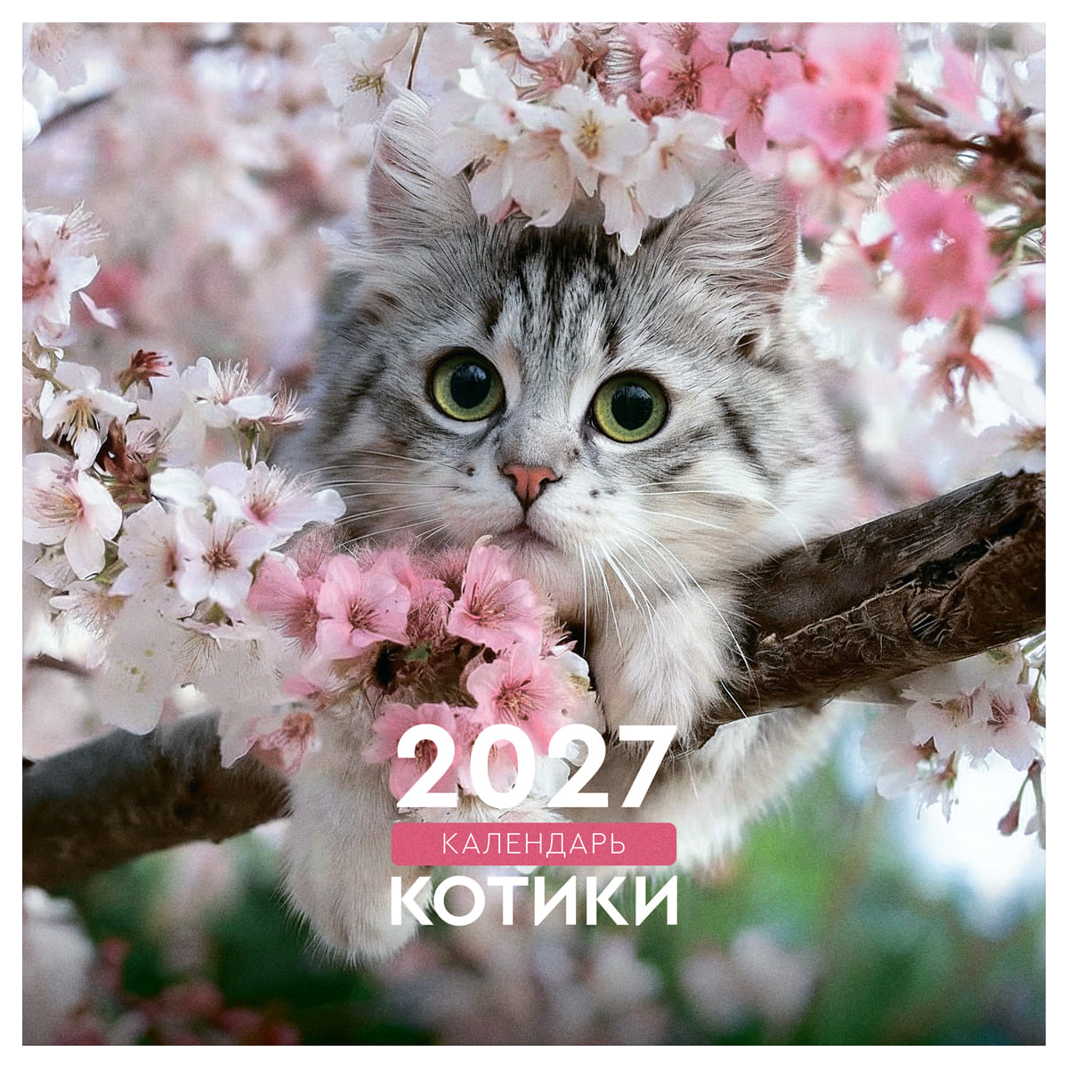 Календарь настенный перекидной 2027 23х23 12л. "котики"