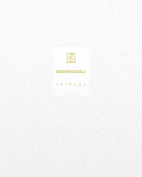 Тетрадь 48 л. "белое золото" информатика ("hatber")