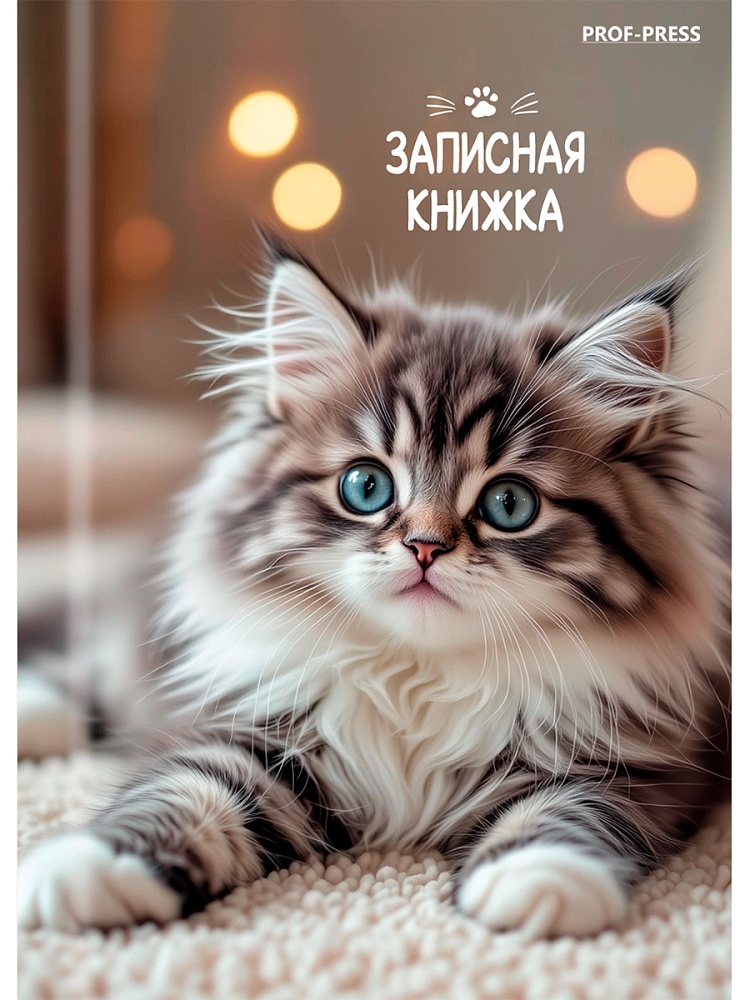 Книжка записная а7 тв.обл. 64л. кл. "милые котята-6" (проф-пресс) глянц.лам.