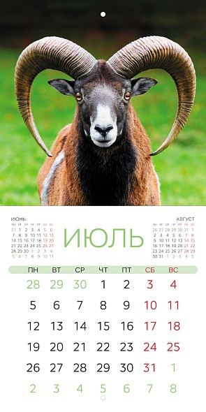 Календарь настенный перекидной 2027 21,6х21,6 12л. "знак года"