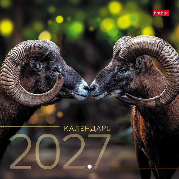 Календарь настенный перекидной 2027 21,6х21,6 12л. "знак года"