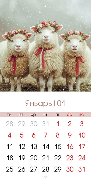 Календарь настенный перекидной 2027 21,6х21,6 12л. "символ года"