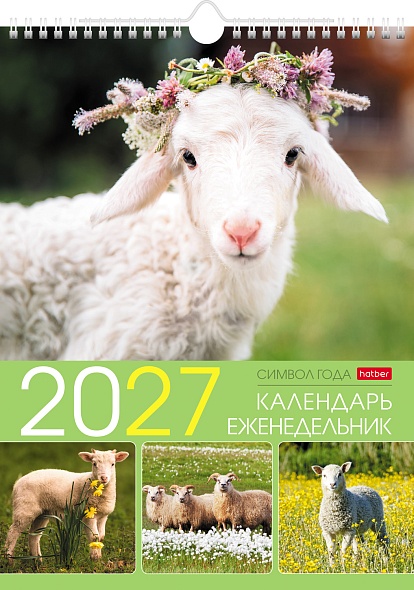 Календарь-еженедельник настенный перекидной 2027 24х32 56л. "символ года"