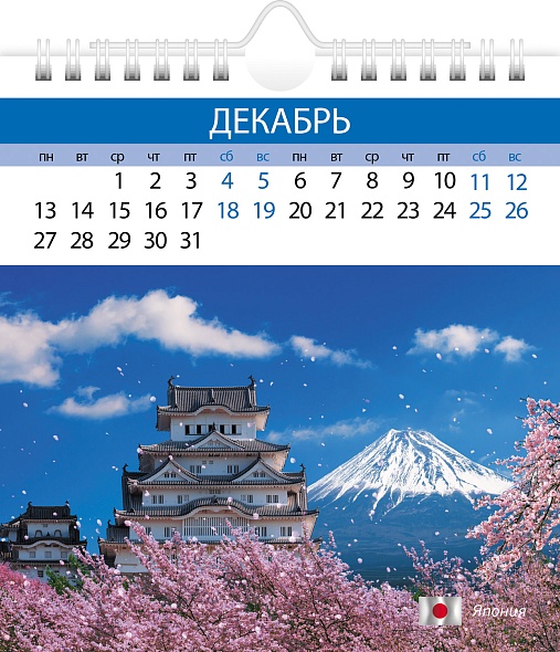 Календарь настольный 2027 160х170 "яркое путешествие"