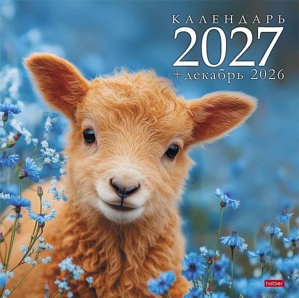 Календарь настенный перекидной 2027 30х30 12л. "символ года. овечки"
