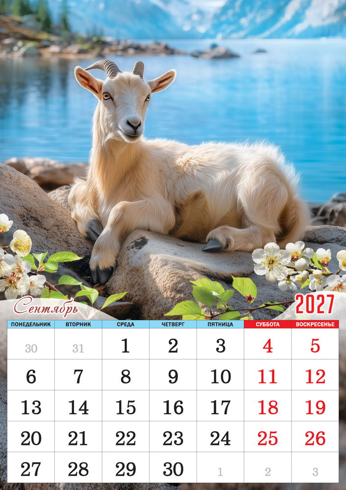 Календарь настенный перекидной 2027 34х48 "символ года. вольные просторы"