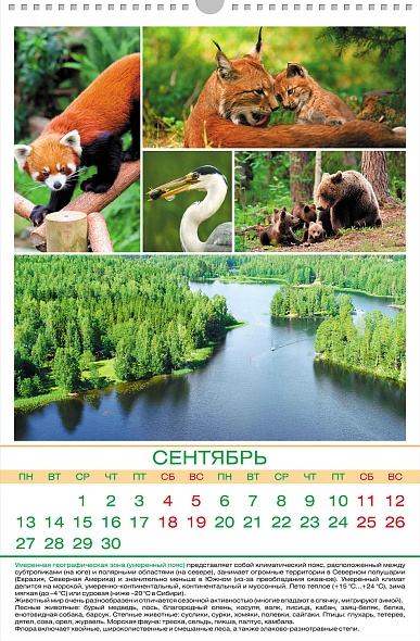 Календарь настенный перекидной 2027 30х45 12 листов "дикий мир"