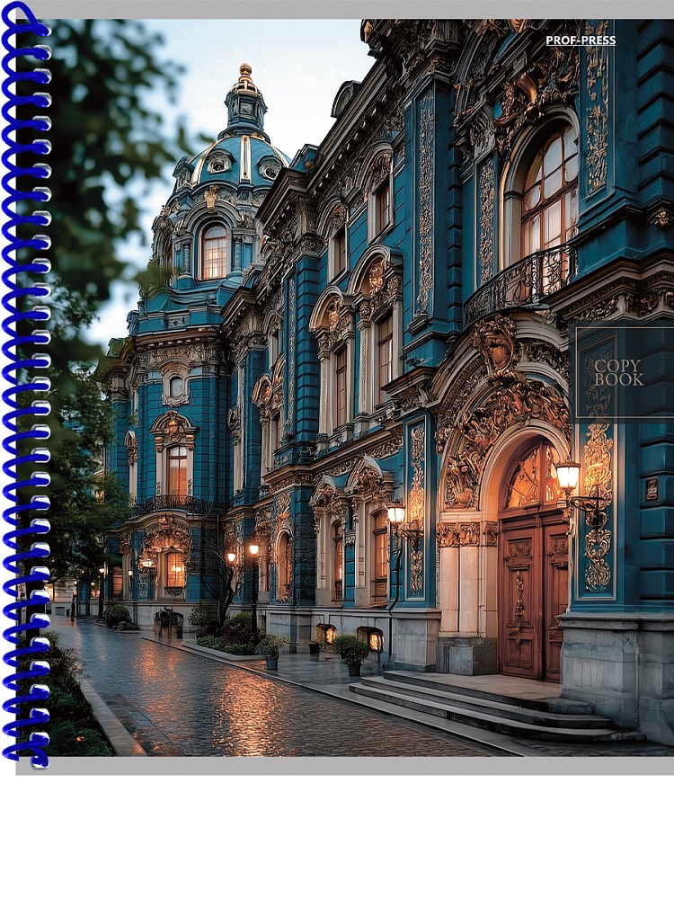 Тетрадь на спирали 48л. кл. "городская архитектура-5" (проф-пресс) б/б,асс-т