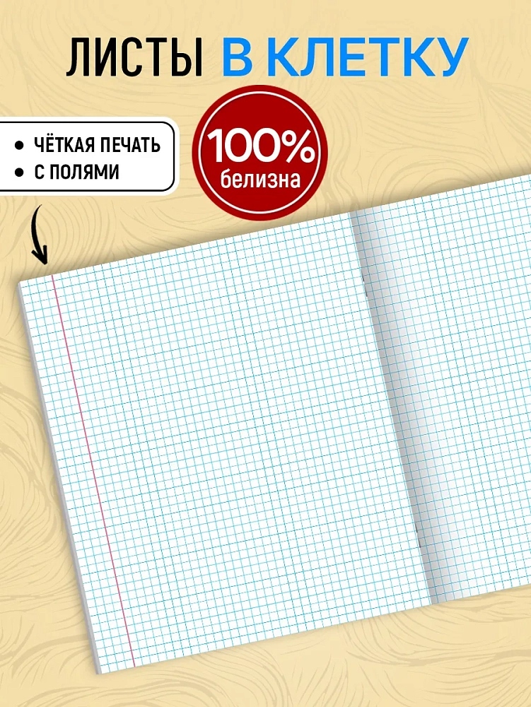 Тетрадь 48л. кл. "вдохновение искусством" (проф-пресс) б/б,софт тач,тиснен.фольгой,асс-т
