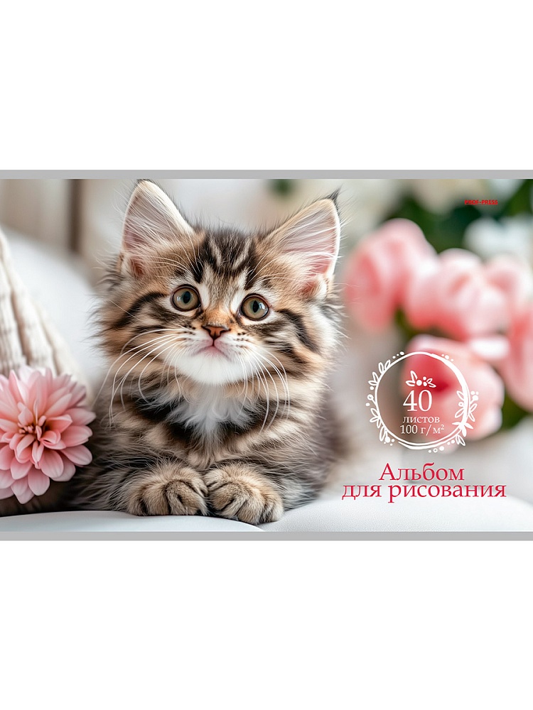 Альбом д/рис. а4 40л.скрепка "милые котики-2" (проф-пресс) асс-т