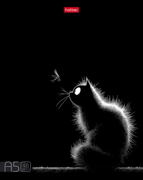 Тетрадь 48 л. кл. "котэ" (hatber) б/б,выб.лак,асс-т