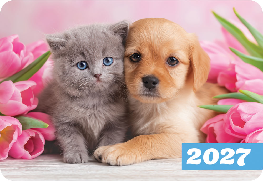 Календарь карманный 2027 "кот и пёс"
