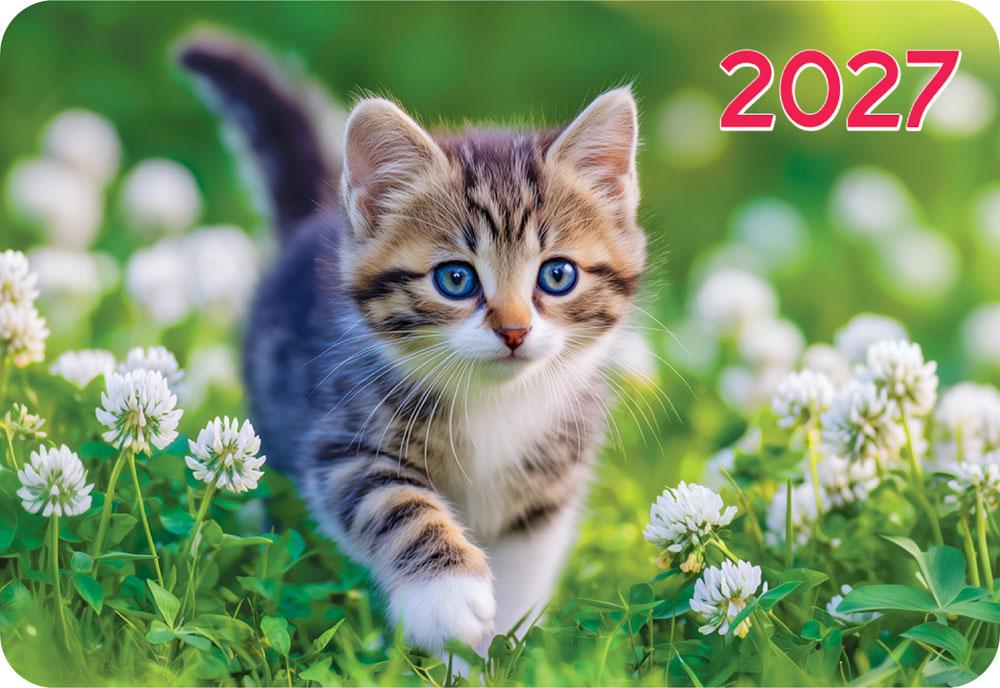 Календарь карманный 2027 "кошки"
