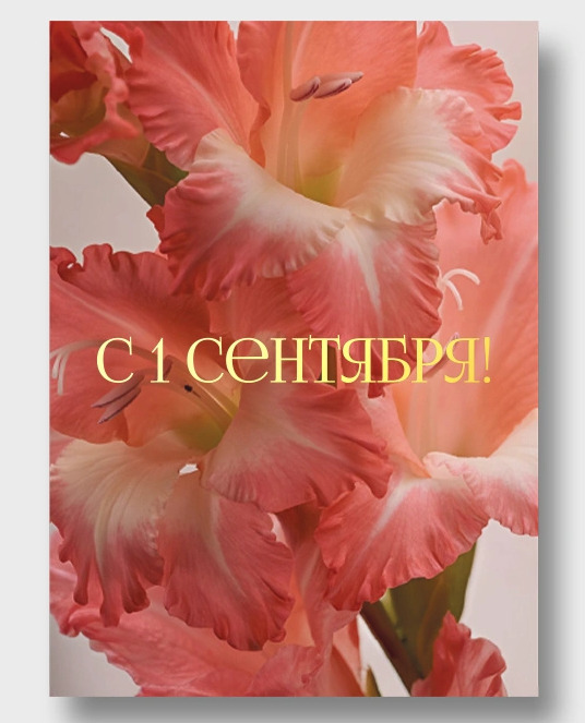 Открытка а5 "с 1 сентября" фольга