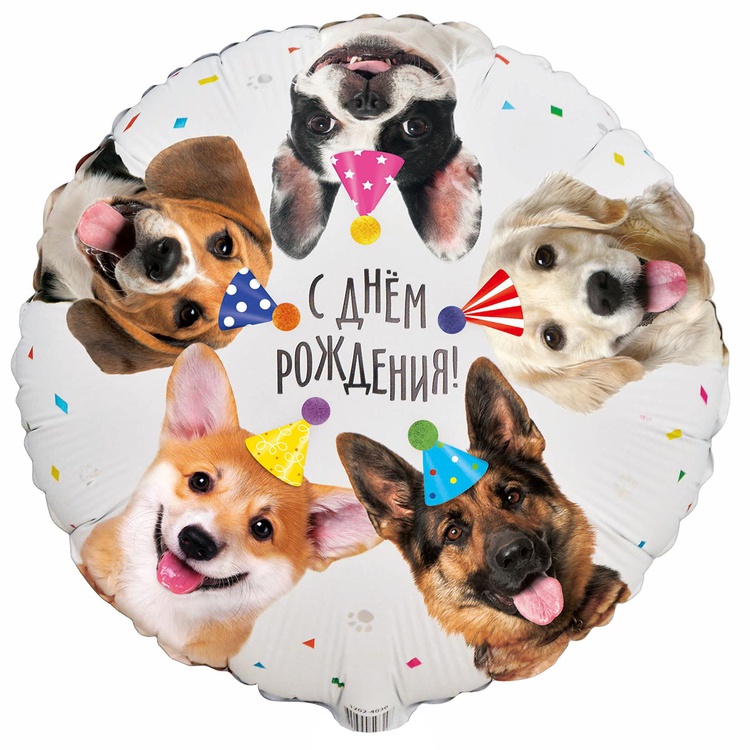 шар возд. 18'' фольгир. круг "сдр собачки фотографичные" Шар возд. 18'' фольгир. круг "сдр собачки фотографичные"