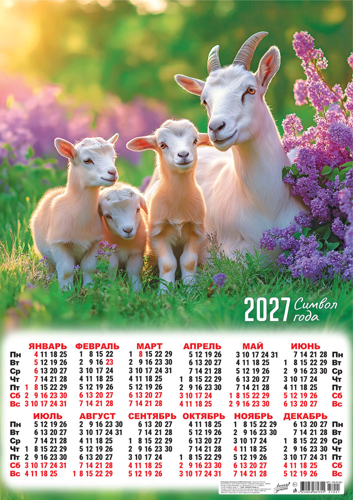 календарь настенный 2027 а2 "символ года. год семьи" Календарь настенный 2027 а2 "символ года. год семьи"
