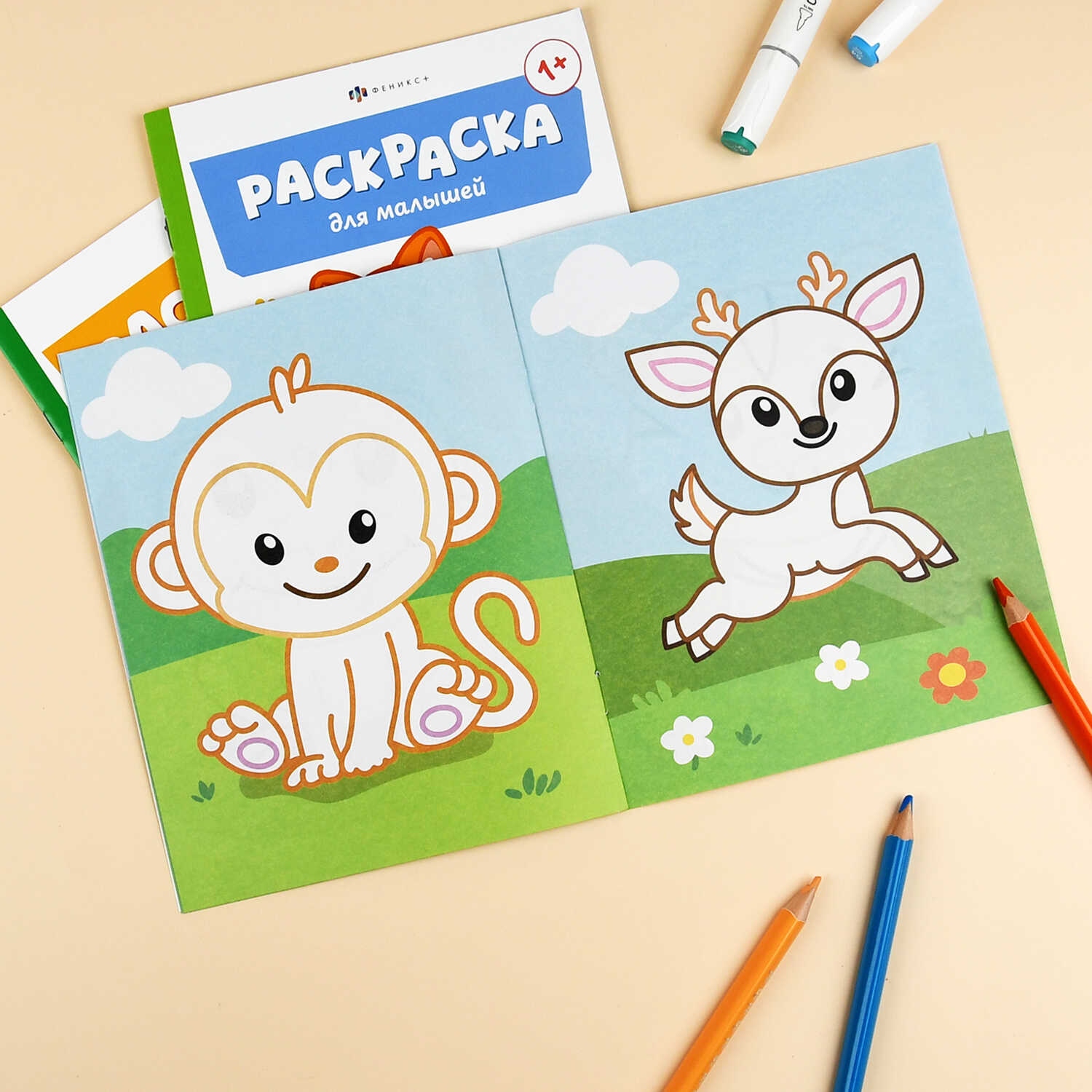 Раскраска "зоопарк" 4л. 165х205ммм (феникс+) 1+