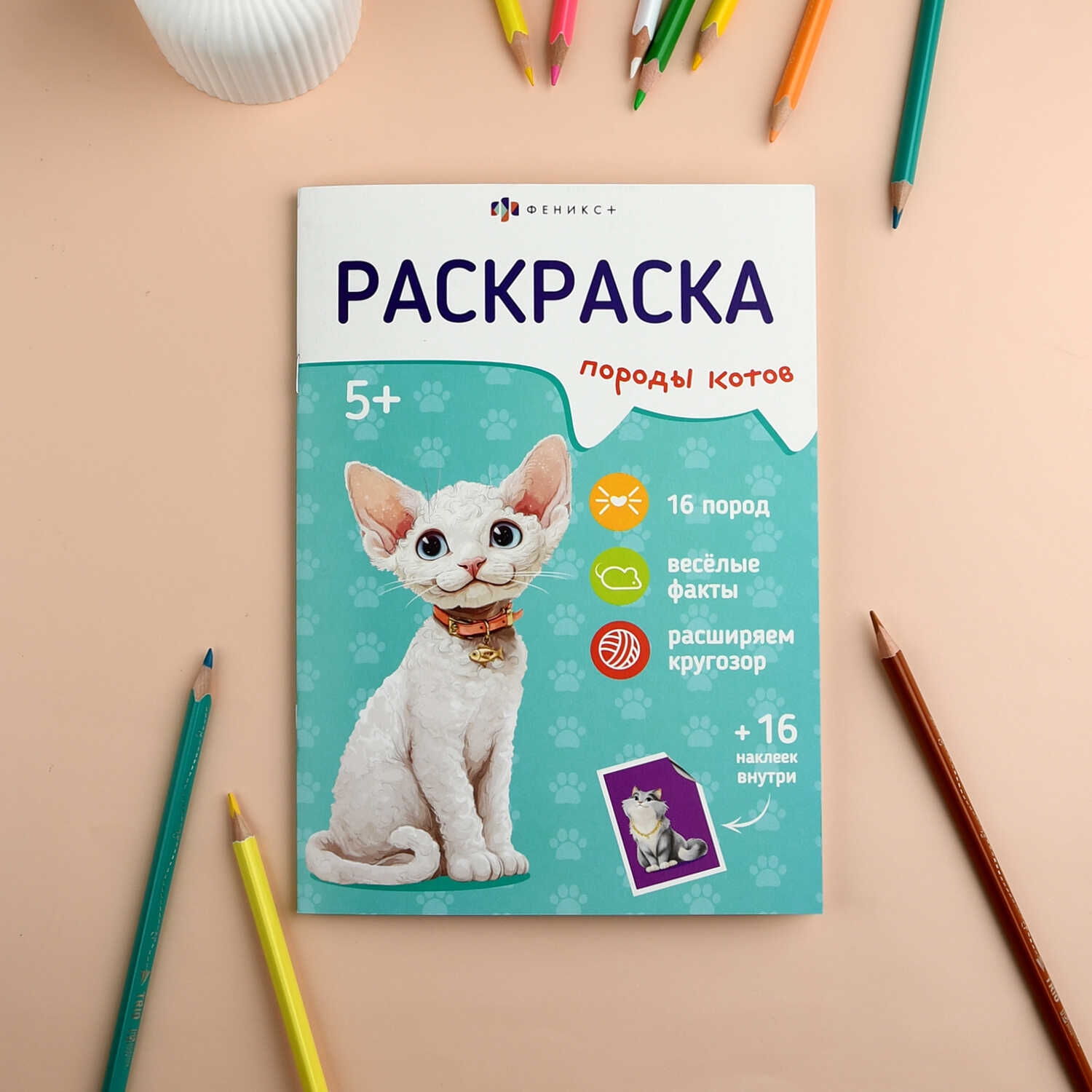 раскраска "породы. коты" с наклейками 8л. 165х235мм (феникс+) 5+ Раскраска "породы. коты" с наклейками 8л. 165х235мм (феникс+) 5+