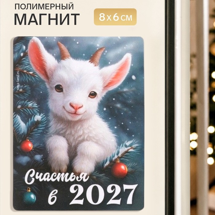 сувенир на магните "счастья 2027" 8х6см Сувенир на магните "счастья 2027" 8х6см