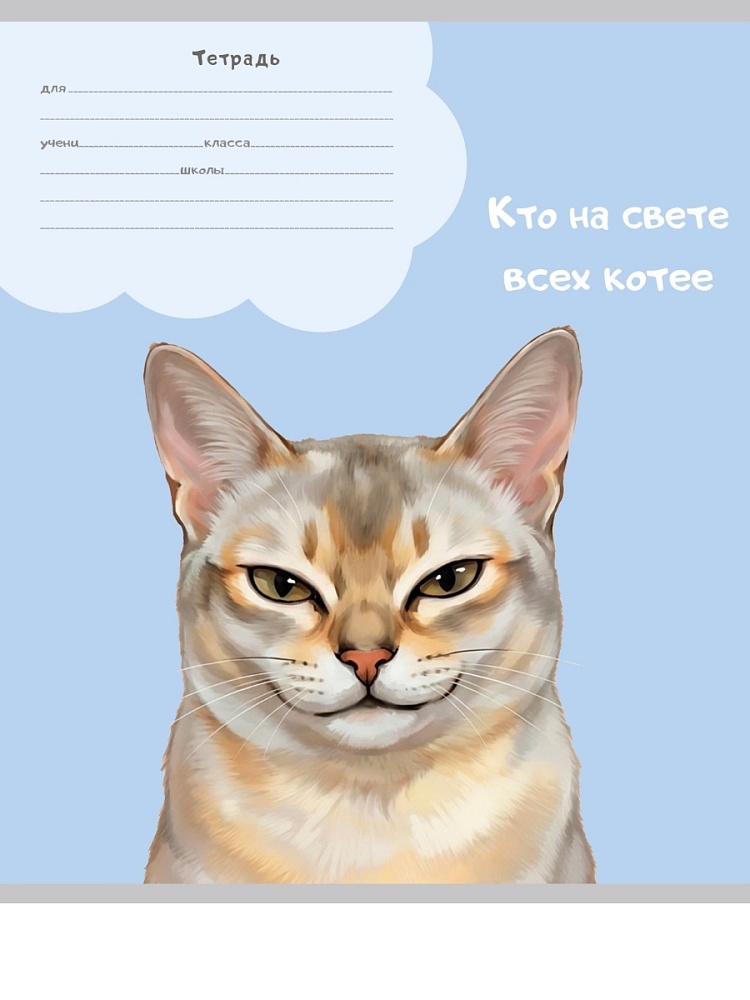 Тетрадь 24л. лин. "котики-5" (проф-пресс) б/б,асс-т
