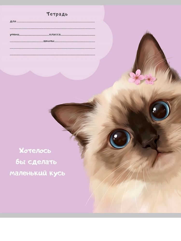 Тетрадь 24л. лин. "котики-5" (проф-пресс) б/б,асс-т
