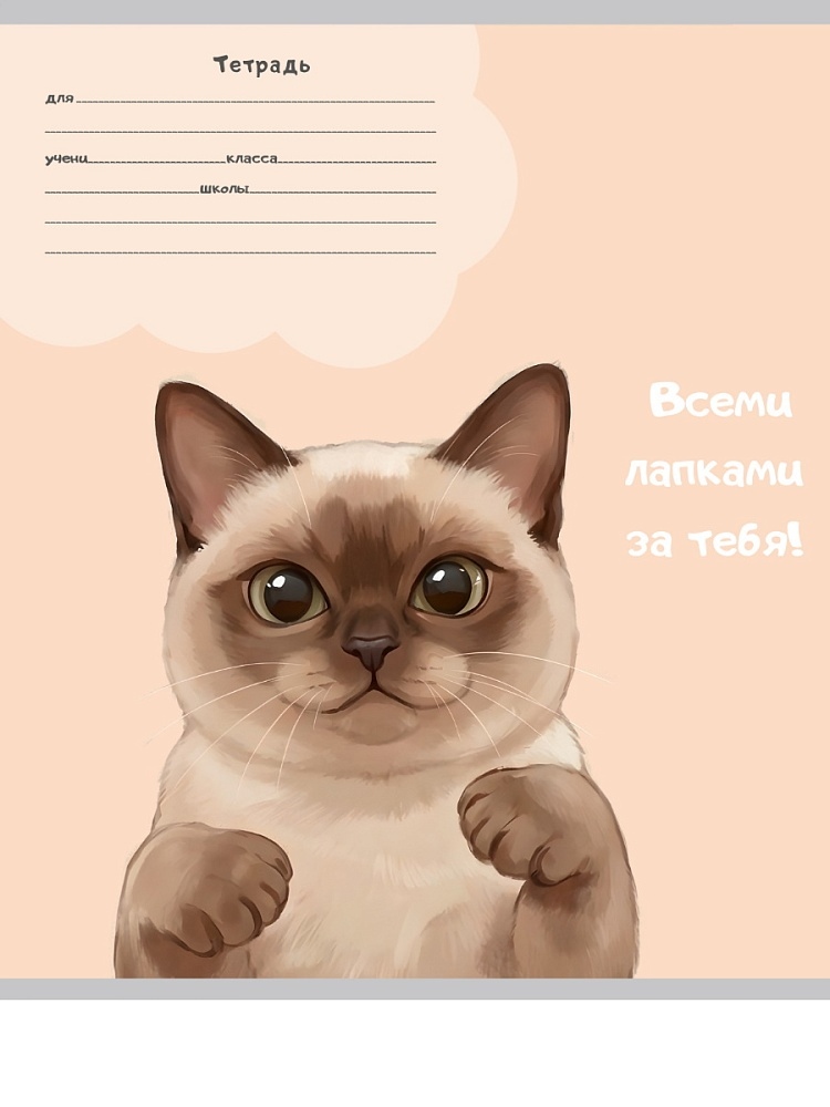Тетрадь 24л. лин. "котики-5" (проф-пресс) б/б,асс-т